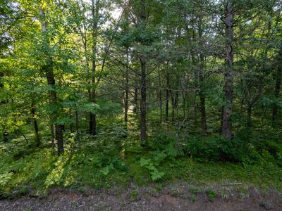 LOT 14 Dads Lake Rd, Eagle River, WI, 54521