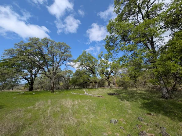 14677 Begonia Way, Oregon House, CA 95962