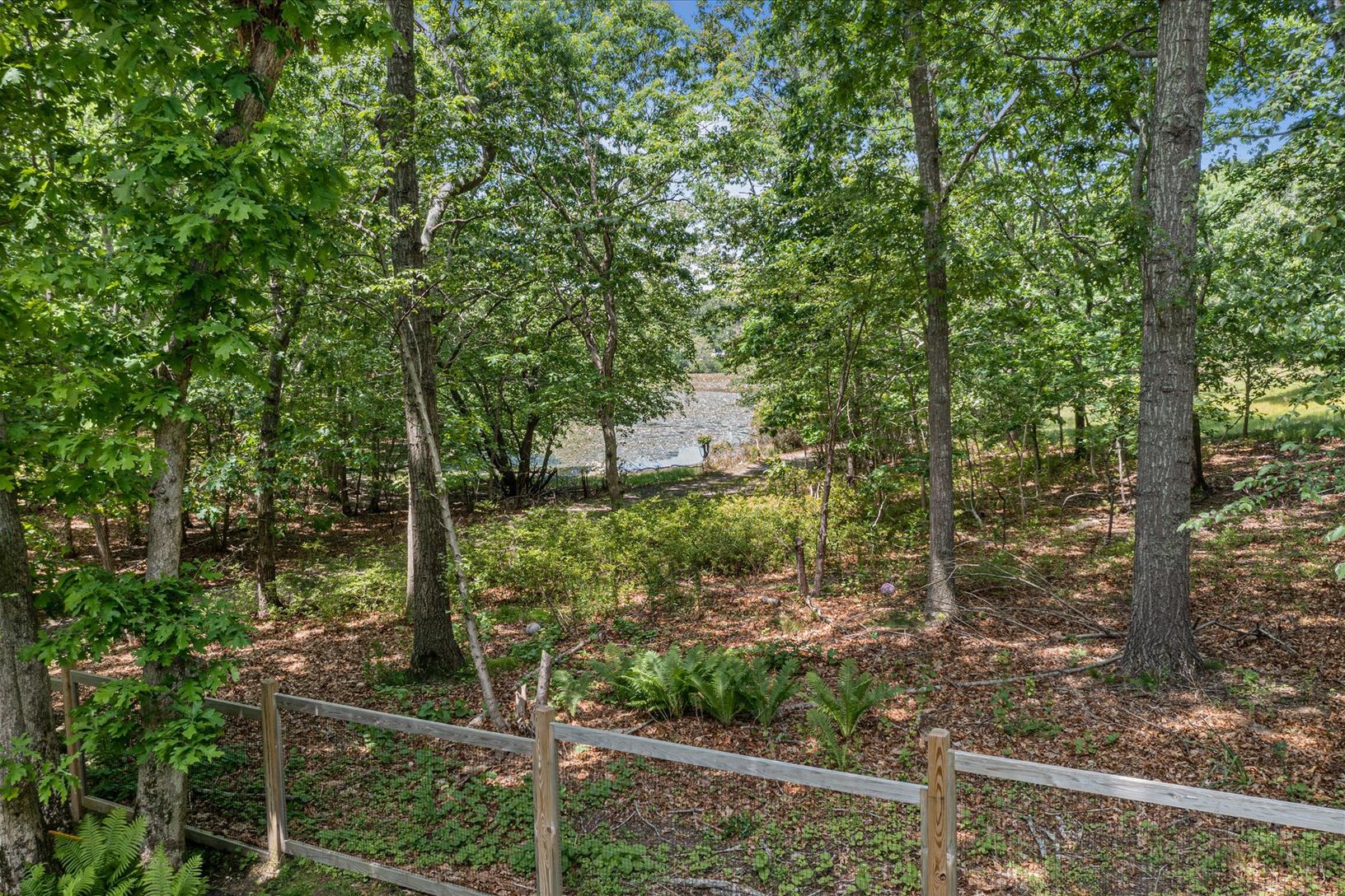  View of Little Round Pond