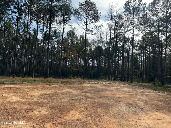 192 Lucas Warner Rd, Prentiss, MS 39474