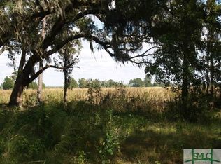 587 McAllister Lndg, Richmond Hill, GA 31324