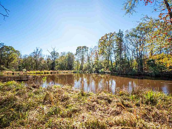5th image of 165 County Road 3206