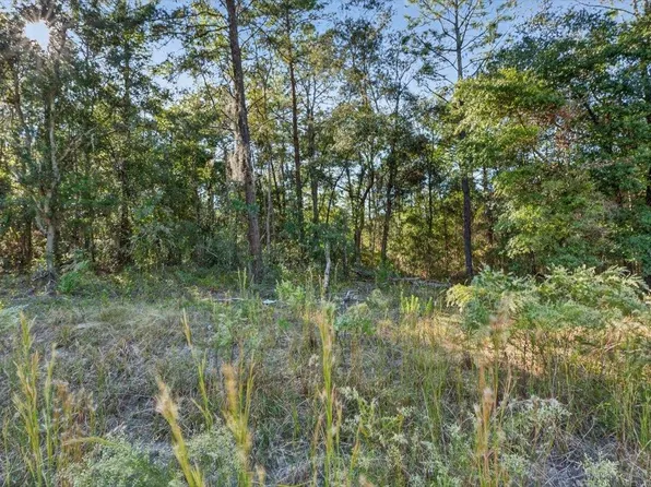 Usina Ave, Interlachen, FL 32148