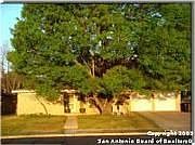 2nd image of 3807 Meadowlark Ave