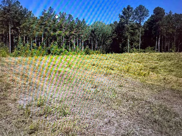 0 County Road 196, Danville, AL 35619