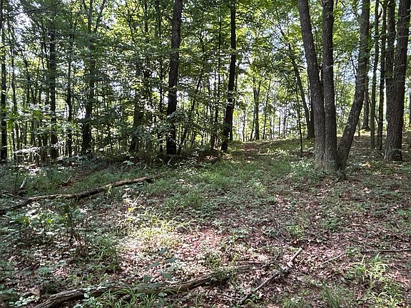 5th image of 6741 Big Spruce Little Bear Rd