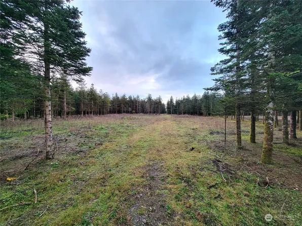 20 Barrett Road, Montesano, WA 98563