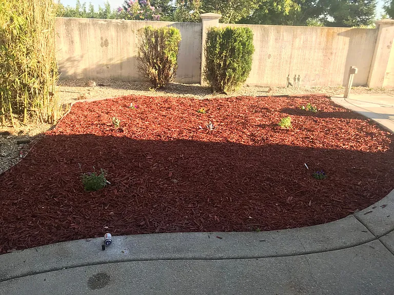 1705 Belden Dr — Photo 14