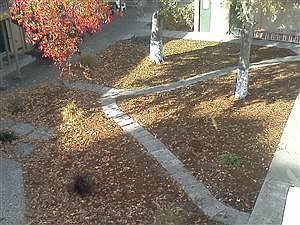 1st image of 2330 Church Ln APT 19