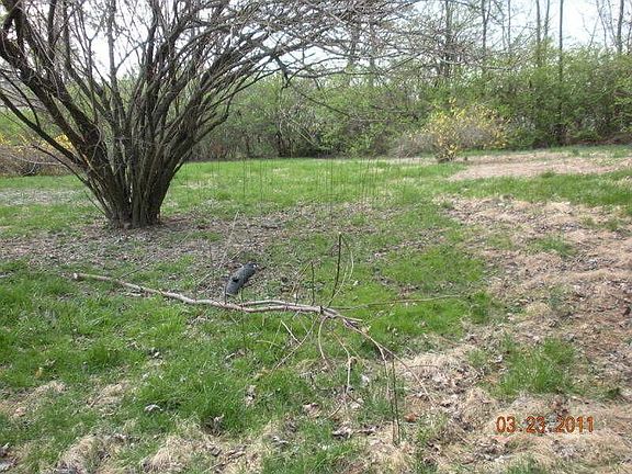 3rd image of 212 Martin Dr