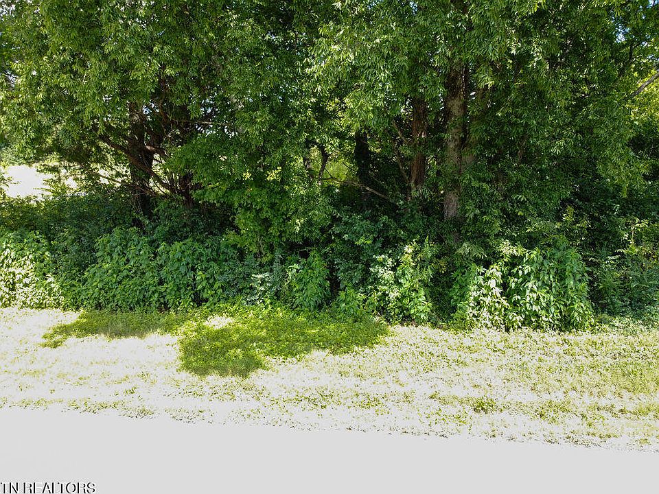 1st image of 156 County Road 436