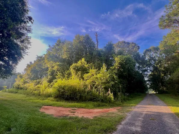 Nhn George Bilbo Rd, Lumberton, MS 39455