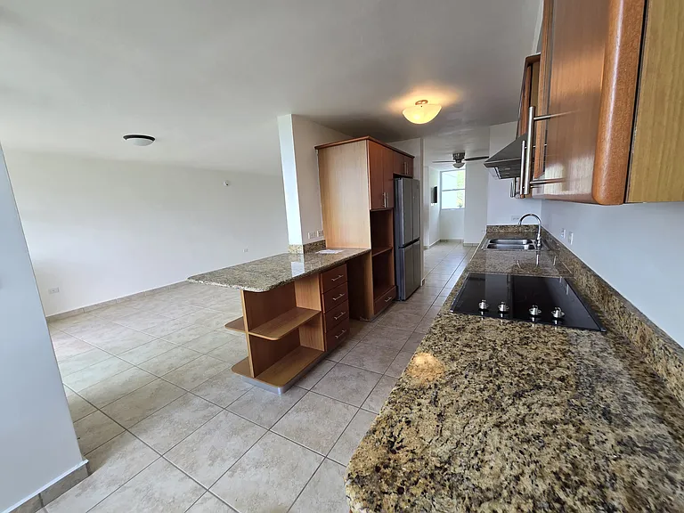 450 Highway 844 Cond Buena Vis #1331 — Photo 6