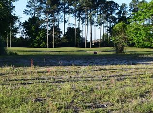 95008 Lantana Ct, Fernandina Beach, FL 32034