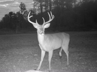 0 Bedenbender Rd, Oak Grove, LA 71263