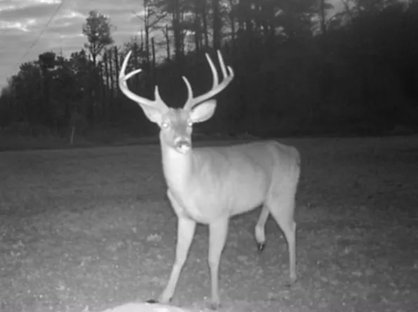 0 Bedenbender Rd, Oak Grove, LA 71263