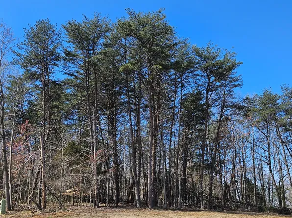 187 Loving Cir, Penhook, VA 24137