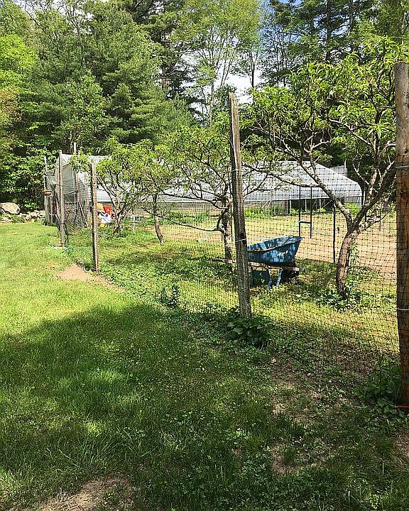 2nd image of 221 Joe Sarle Rd
