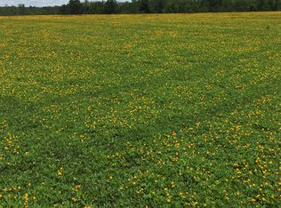 Cherry Lk, Madison, FL 32340