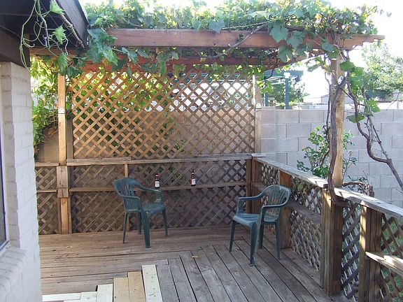 Vine Covered Patio