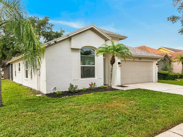 7737 MARBELLA CREEK AVENUE, TAMPA, FL 33615
