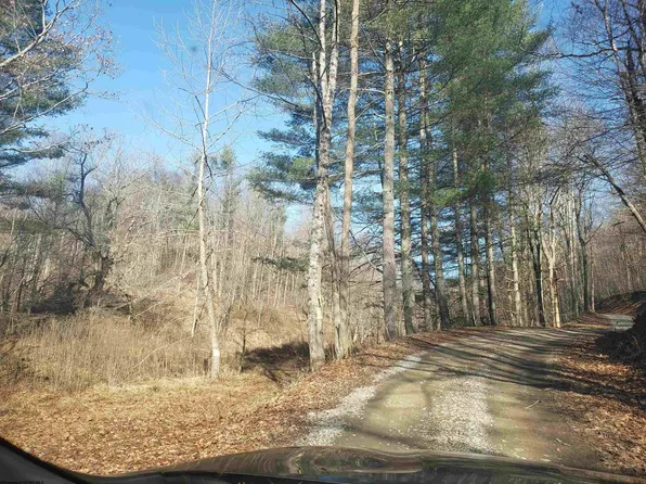 100 Steve Rosier Rd, Parsons, WV 26287