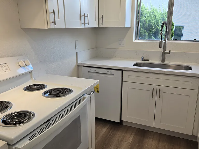 7847 Camino Noguera — Photo 5