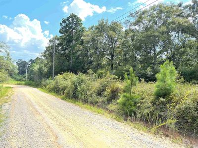 0 Folsom St, Opp, AL, 36467