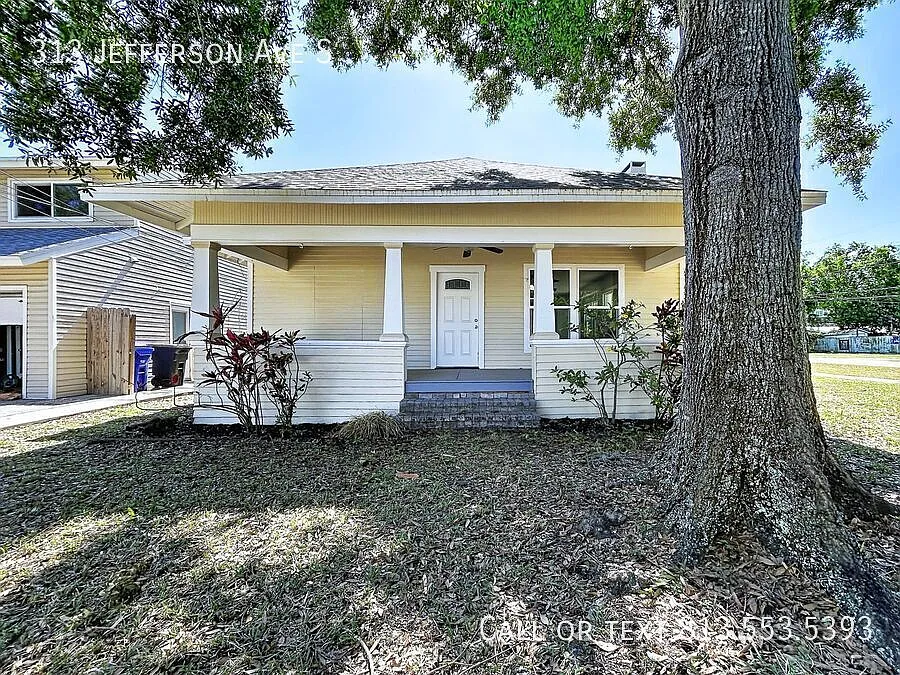 313 Jefferson Ave S