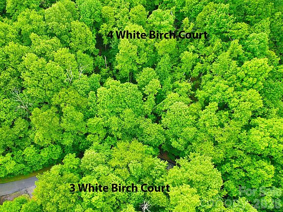 3rd image of 4 White Birch Ct #422
