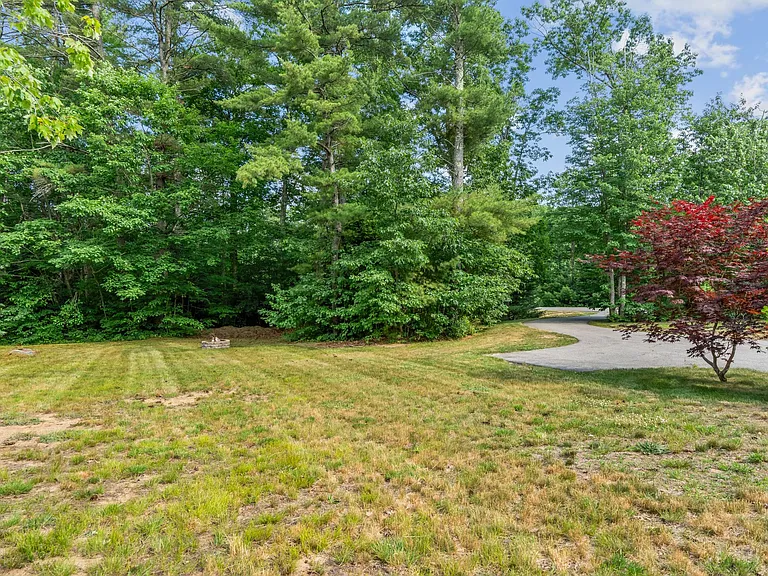 61 Julian Huxley Ln — Photo 46