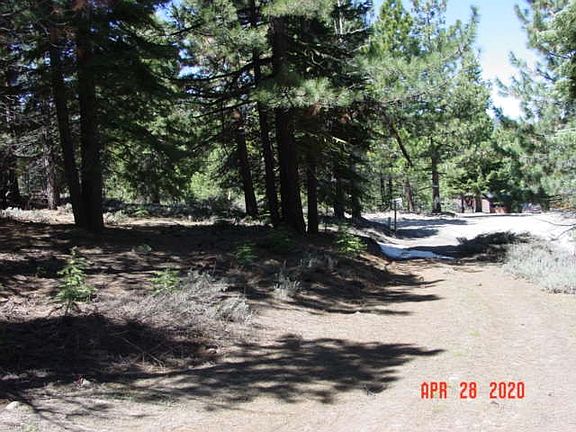 3rd image of 7865 Buckbrush Dr
