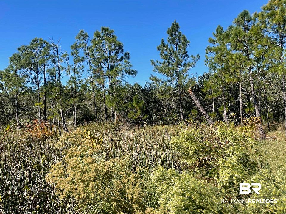 1st image of LOT 15 Palmetto Dr