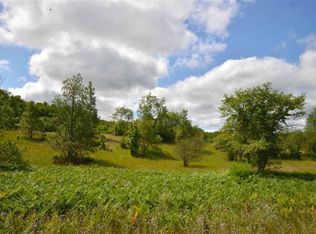 11085 Trail 33 Ln, Mancelona, MI 49659