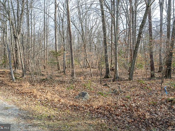 5th image of 14435 Delaney Rd