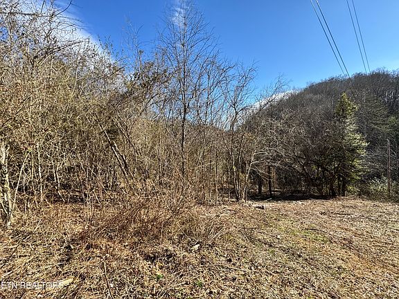 5th image of 1135 Ned Clark Rd