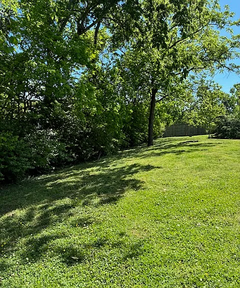 Fenced, private backyard (left side).
