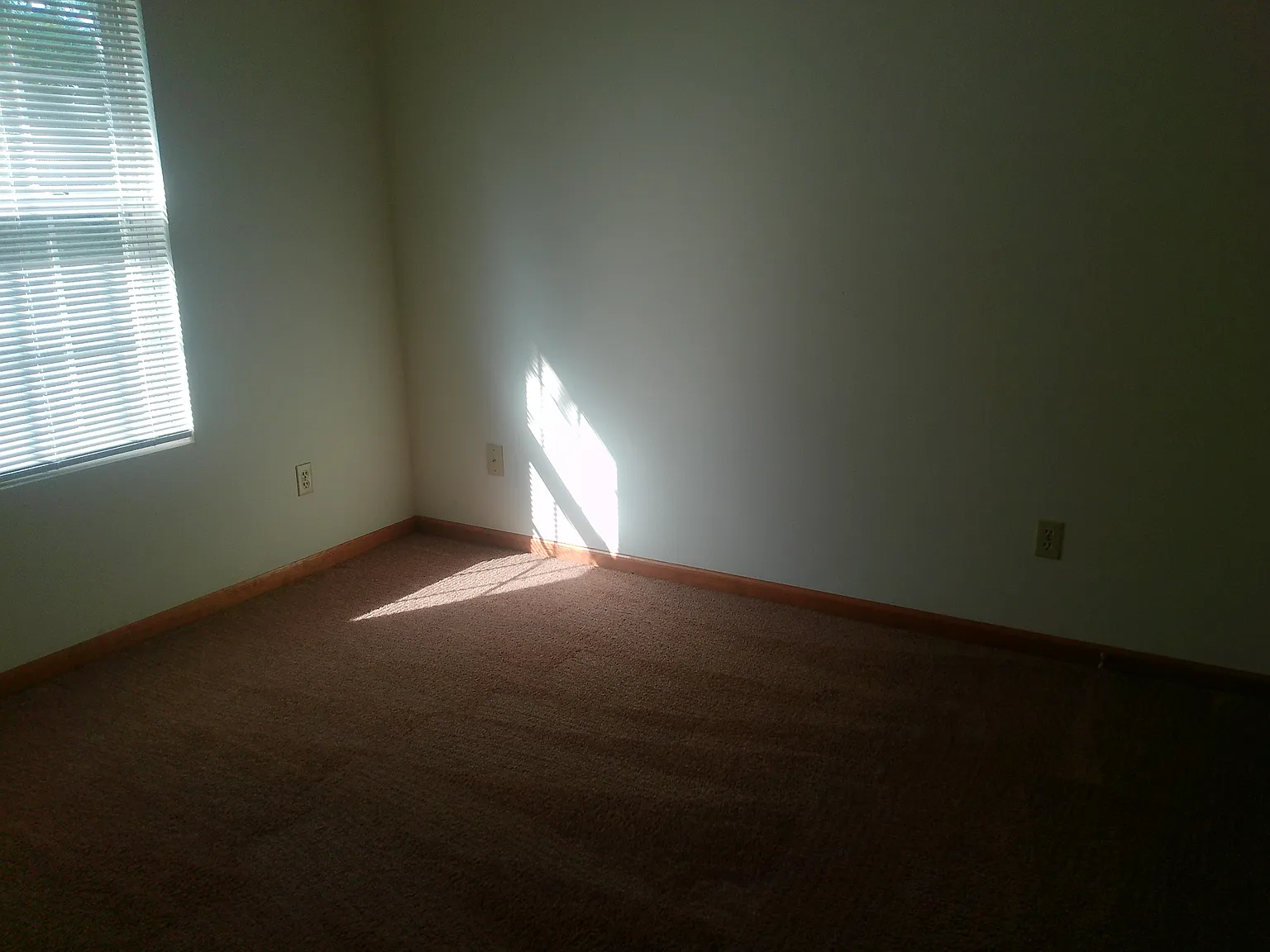 3 bed, 1500 sqft, $1,200 — Photo 4