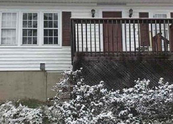 3rd image of 1317 E Windsor St