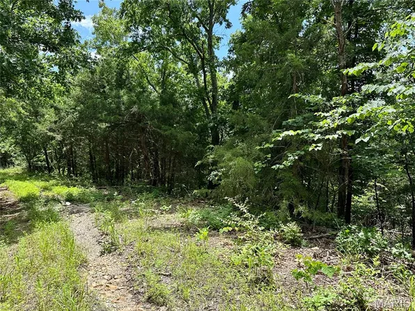 Bluebird Ln, Rolla, MO 65401