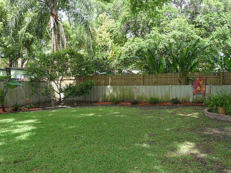Backyard