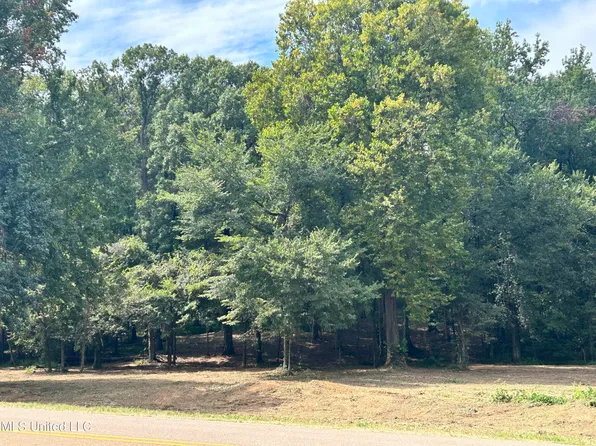 2 Fogg Rd #2, Nesbit, MS 38651