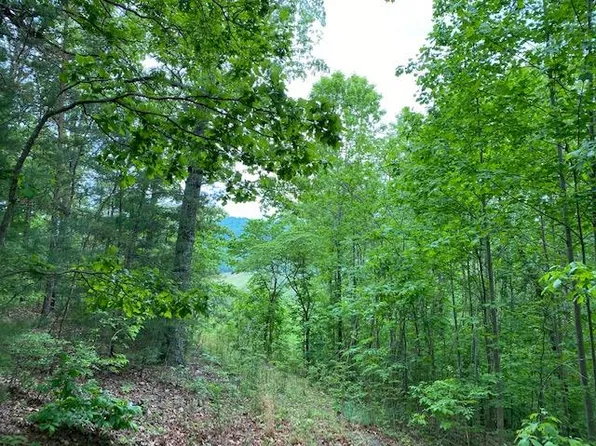 L5 Town View Rd #13, Blairsville, GA 30512