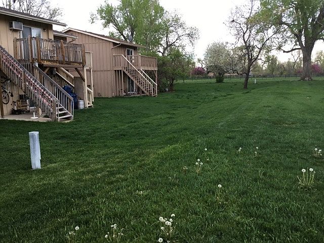 1st image of 3600 Hayden Pl