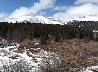 19 Tbd Co Rd, Alma, CO 80420