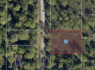 00 Georgia St, Paisley, FL 32767