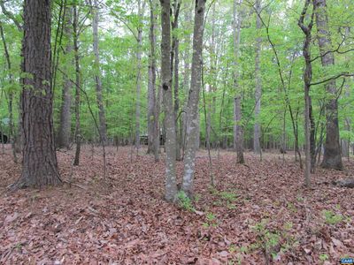 163 Jefferson Dr W, Palmyra, VA, 22963