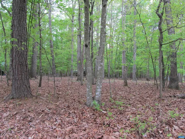 163 Jefferson Dr W, Palmyra, VA 22963