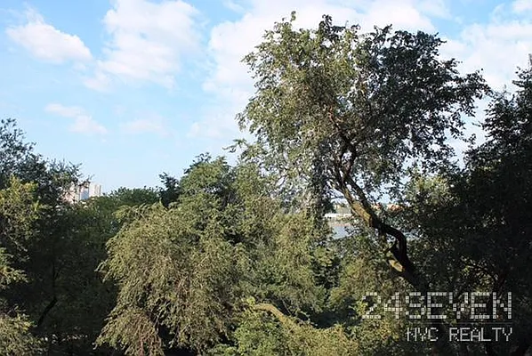 Rented by 24 7 NYC Realty Inc. | media 27