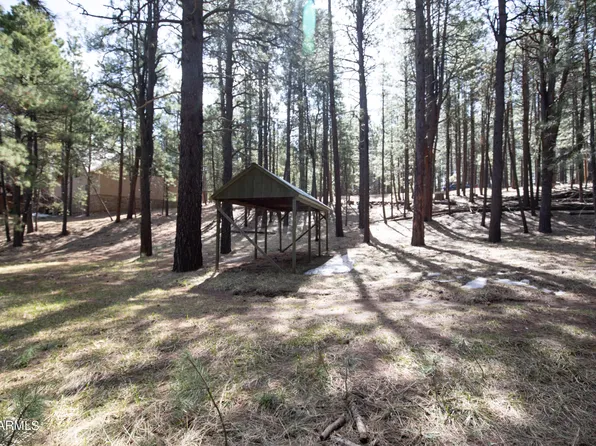 2607 Bailey Drive #449, Forest Lakes, AZ 85931